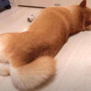 ヒメ日記 2025/08/08 21:00 投稿 みつる 性腺熟女100％鶯谷（デリヘル市場）