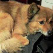 ヒメ日記 2025/08/24 20:00 投稿 みつる 性腺熟女100％鶯谷（デリヘル市場）