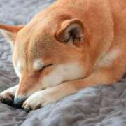 ヒメ日記 2025/10/05 20:00 投稿 みつる 性腺熟女100％鶯谷（デリヘル市場）