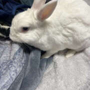 ヒメ日記 2025/10/11 15:00 投稿 みつる 性腺熟女100％鶯谷（デリヘル市場）