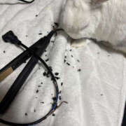 ヒメ日記 2025/12/16 13:00 投稿 みつる 性腺熟女100％鶯谷（デリヘル市場）