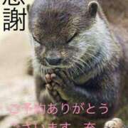 ヒメ日記 2026/01/13 22:30 投稿 みつる 性腺熟女100％鶯谷（デリヘル市場）