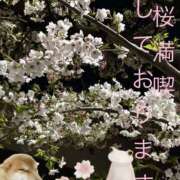 ヒメ日記 2026/04/05 21:00 投稿 みつる 性腺熟女100％鶯谷（デリヘル市場）
