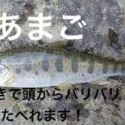 ヒメ日記 2026/07/14 23:20 投稿 みつる 性腺熟女100％鶯谷（デリヘル市場）
