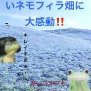 ヒメ日記 2026/08/04 21:30 投稿 みつる 性腺熟女100％鶯谷（デリヘル市場）