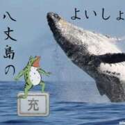 ヒメ日記 2026/09/09 22:20 投稿 みつる 性腺熟女100％鶯谷（デリヘル市場）