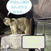 ヒメ日記 2026/10/16 20:45 投稿 みつる 性腺熟女100％鶯谷（デリヘル市場）