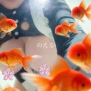 ヒメ日記 2026/09/22 01:40 投稿 のえる 熟女の風俗最終章 町田店
