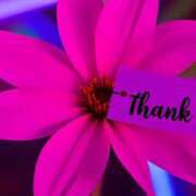 ヒメ日記 2025/10/24 18:30 投稿 しの【ロイヤルOP対応】 あなたの全てを包み込む　優しいひとづま