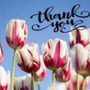 ヒメ日記 2025/10/28 15:53 投稿 しの【ロイヤルOP対応】 あなたの全てを包み込む　優しいひとづま