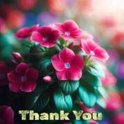 ヒメ日記 2025/10/28 23:30 投稿 しの【ロイヤルOP対応】 あなたの全てを包み込む　優しいひとづま