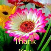 ヒメ日記 2025/11/22 14:33 投稿 しの【ロイヤルOP対応】 あなたの全てを包み込む　優しいひとづま