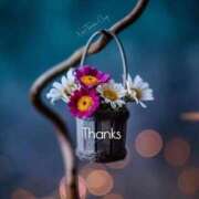 ヒメ日記 2025/11/24 23:18 投稿 しの【ロイヤルOP対応】 あなたの全てを包み込む　優しいひとづま