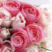 ヒメ日記 2025/11/27 23:28 投稿 しの【ロイヤルOP対応】 あなたの全てを包み込む　優しいひとづま