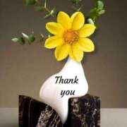 ヒメ日記 2025/12/06 11:45 投稿 しの【ロイヤルOP対応】 あなたの全てを包み込む　優しいひとづま