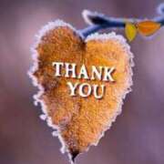 ヒメ日記 2025/12/18 20:49 投稿 しの【ロイヤルOP対応】 あなたの全てを包み込む　優しいひとづま