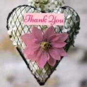 ヒメ日記 2026/01/02 15:52 投稿 しの【ロイヤルOP対応】 あなたの全てを包み込む　優しいひとづま