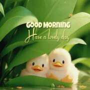 ヒメ日記 2026/01/04 09:44 投稿 しの【ロイヤルOP対応】 あなたの全てを包み込む　優しいひとづま