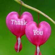 ヒメ日記 2026/01/05 18:50 投稿 しの【ロイヤルOP対応】 あなたの全てを包み込む　優しいひとづま