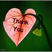 ヒメ日記 2026/01/07 18:01 投稿 しの【ロイヤルOP対応】 あなたの全てを包み込む　優しいひとづま