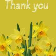 ヒメ日記 2026/01/11 17:03 投稿 しの【ロイヤルOP対応】 あなたの全てを包み込む　優しいひとづま