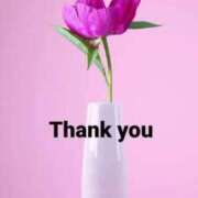 ヒメ日記 2026/01/17 22:40 投稿 しの【ロイヤルOP対応】 あなたの全てを包み込む　優しいひとづま