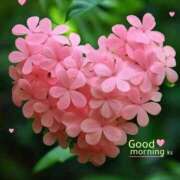 ヒメ日記 2026/01/26 10:01 投稿 しの【ロイヤルOP対応】 あなたの全てを包み込む　優しいひとづま