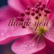 ヒメ日記 2026/02/22 00:11 投稿 しの【ロイヤルOP対応】 あなたの全てを包み込む　優しいひとづま