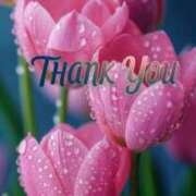 ヒメ日記 2026/03/03 22:08 投稿 しの【ロイヤルOP対応】 あなたの全てを包み込む　優しいひとづま