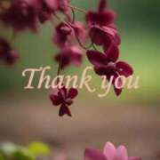 ヒメ日記 2026/03/04 23:36 投稿 しの【ロイヤルOP対応】 あなたの全てを包み込む　優しいひとづま