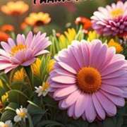 ヒメ日記 2026/03/11 19:20 投稿 しの【ロイヤルOP対応】 あなたの全てを包み込む　優しいひとづま