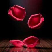 ヒメ日記 2026/03/16 18:35 投稿 しの【ロイヤルOP対応】 あなたの全てを包み込む　優しいひとづま