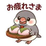 ヒメ日記 2026/05/07 16:37 投稿 しの【ロイヤルOP対応】 あなたの全てを包み込む　優しいひとづま