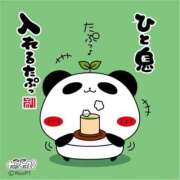 ヒメ日記 2026/06/04 16:12 投稿 しの【ロイヤルOP対応】 あなたの全てを包み込む　優しいひとづま