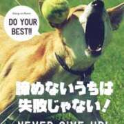 ヒメ日記 2026/07/06 09:48 投稿 しの【ロイヤルOP対応】 あなたの全てを包み込む　優しいひとづま