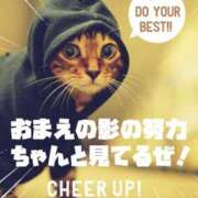 ヒメ日記 2026/07/09 17:53 投稿 しの【ロイヤルOP対応】 あなたの全てを包み込む　優しいひとづま
