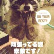 ヒメ日記 2026/07/28 16:21 投稿 しの【ロイヤルOP対応】 あなたの全てを包み込む　優しいひとづま