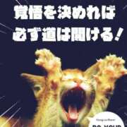 ヒメ日記 2026/08/18 17:47 投稿 しの【ロイヤルOP対応】 あなたの全てを包み込む　優しいひとづま
