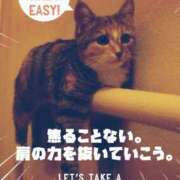 しの【ロイヤルOP対応】 お疲れ様です あなたの全てを包み込む　優しいひとづま
