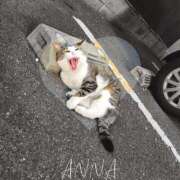 ヒメ日記 2025/06/27 11:01 投稿 あんな ギン妻パラダイス 堺東店