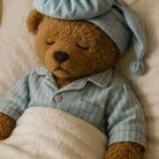 ヒメ日記 2025/09/28 09:25 投稿 とわ 熟女の風俗最終章 沼津店