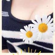 ヒメ日記 2025/10/24 07:18 投稿 とわ 熟女の風俗最終章 沼津店