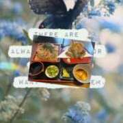 ヒメ日記 2026/03/29 13:48 投稿 とわ 熟女の風俗最終章 沼津店