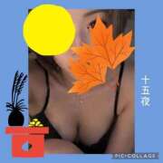 ヒメ日記 2026/09/26 06:20 投稿 とわ 熟女の風俗最終章 沼津店