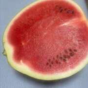 ヒメ日記 2025/07/29 09:28 投稿 佳心（かこ） PLUS十三店