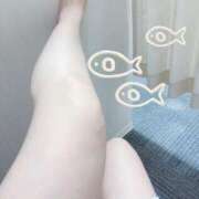 ヒメ日記 2025/08/05 09:56 投稿 佳心（かこ） PLUS十三店