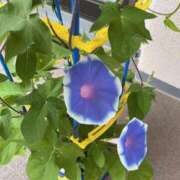 ヒメ日記 2025/08/15 09:08 投稿 佳心（かこ） PLUS十三店