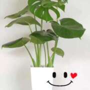 ヒメ日記 2026/01/05 14:28 投稿 佳心（かこ） PLUS十三店