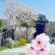 ヒメ日記 2026/04/05 14:28 投稿 佳心（かこ） PLUS十三店