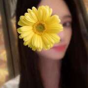 ヒメ日記 2025/08/19 22:11 投稿 百瀬きょうか グランエステ東京 品川（シンデレラグループ）